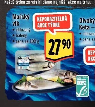 Mořský vlk