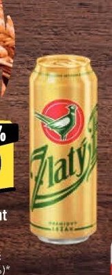 Zlatý Bažant