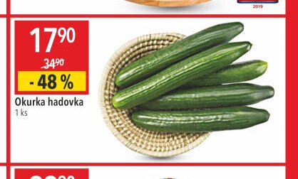 Okurka hadovka
