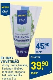 Bylinky v květináči Metro Chef