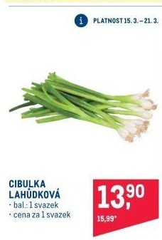 Jarní cibule svazek