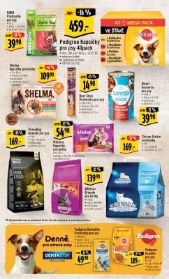 akční leták Albert 22.3.2023-28.3.2023