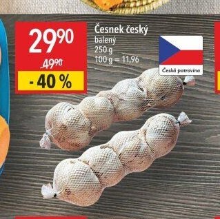 Česnek český