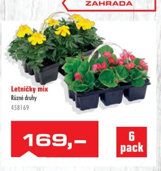 Letničky mix - UNI HOBBY akcniletaky.com