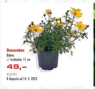 Dvouzubec - UNI HOBBY akcniletaky.com