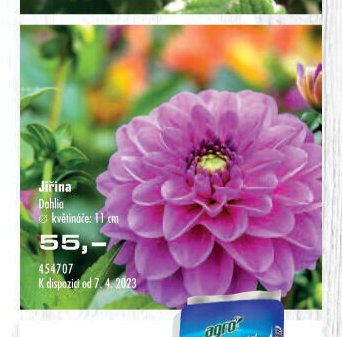 Jiřina - UNI HOBBY akcniletaky.com