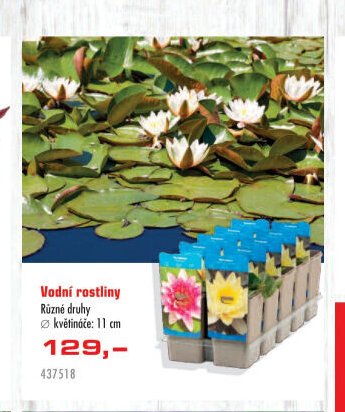 Vodní rostliny - UNI HOBBY akcniletaky.com