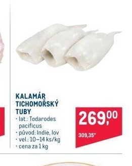 Kalamár tichomořský tuby