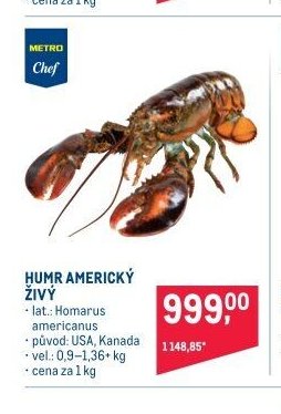 Humr americký živý