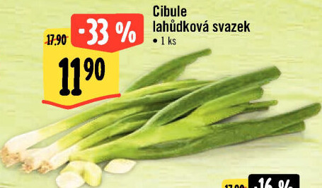 Jarní cibule svazek