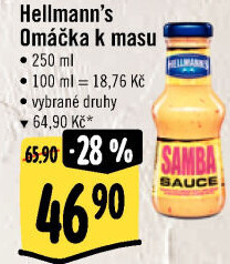 Omáčky k masu Hellmann'