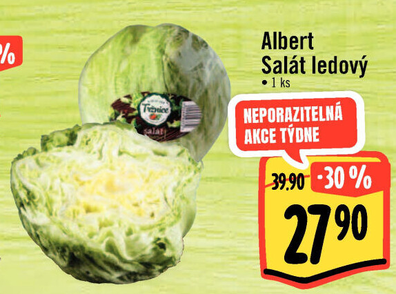 Salát ledový Albert