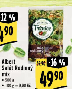 Salát rodinný mix Albert