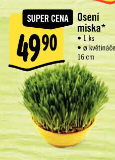 Velikonoční osení