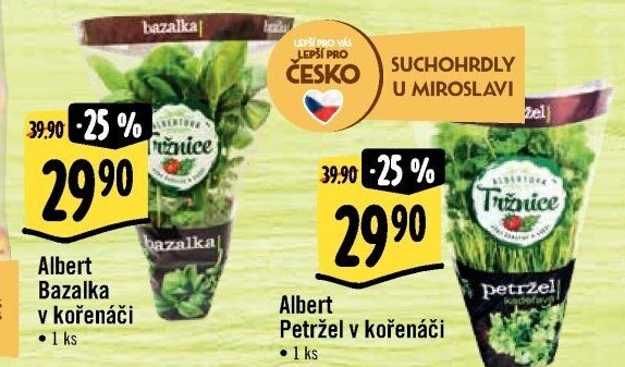 Bylinky v květináči Albert