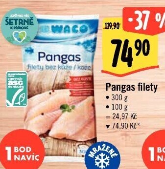 Pangasius filety mražený Nowaco