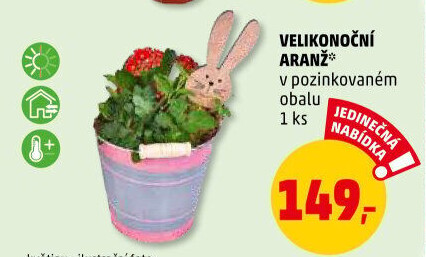 Květinové aranžmá