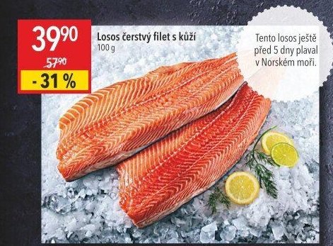 Losos čerstvý filet s kůží