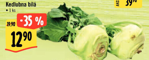 Kedlubna bílá