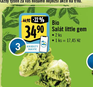 Salát little gem bio