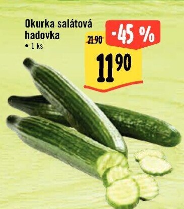 Okurka hadovka