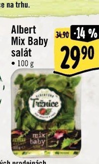 Salát baby listy mix Albert