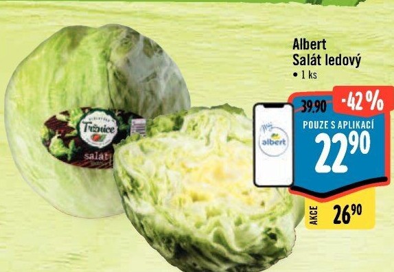 Salát ledový Albert