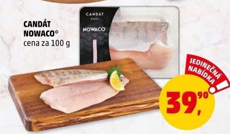 Candát filety Nowaco