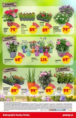 akční leták Penny Market 13.4.2023-26.4.2023