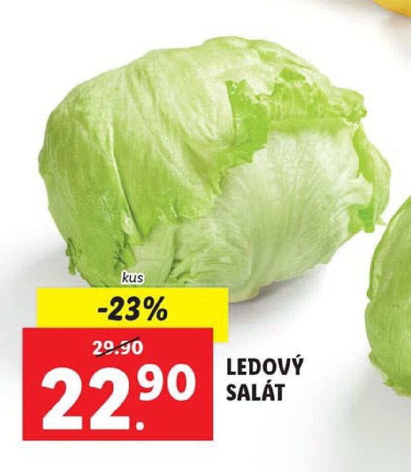 LEDOVÝ SALÁT