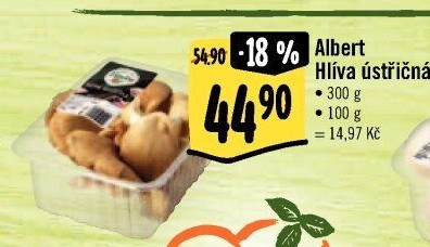 Hlíva ústřičná Albert