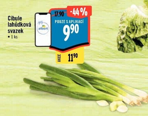 Jarní cibule svazek