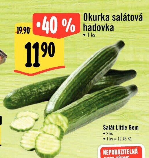 Okurka hadovka