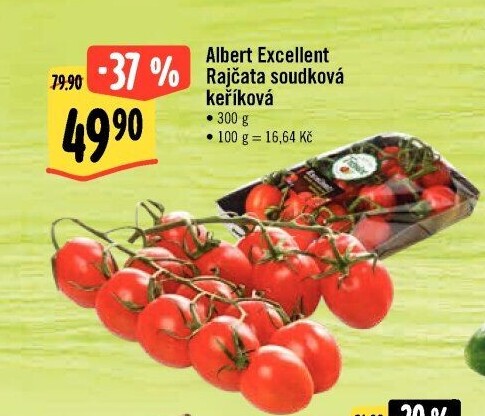 Rajčata keříková Albert Excellent