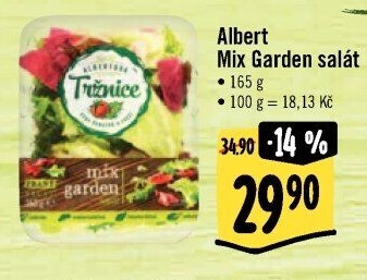 Salát Garden mix Albert