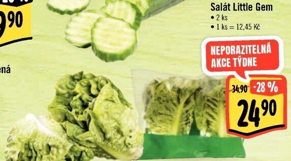 Salát little gem