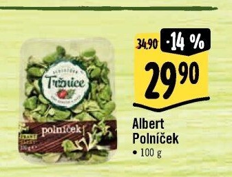 Salát polníček Albert