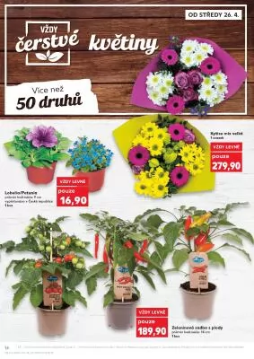 akční leták Kaufland 26.4.2023-2.5.2023