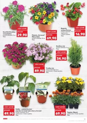 akční leták Kaufland 26.4.2023-2.5.2023