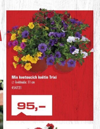 Mix kvetoucích květin Trixi - UNI HOBBY akcniletaky.com