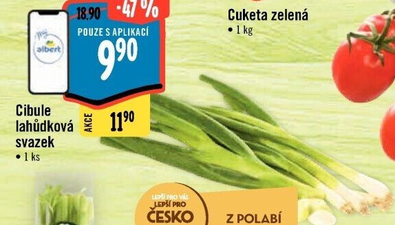 Jarní cibule svazek