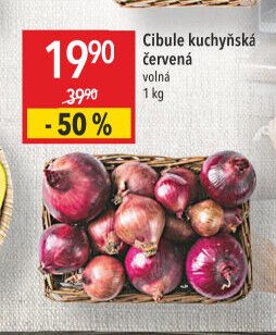 Cibule kuchyňská červená