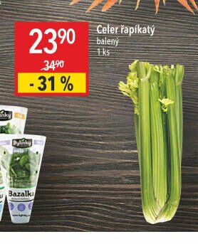 Celer řapíkatý