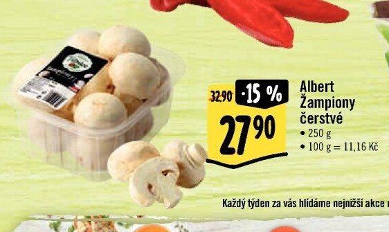 Albert Žampiony čerstvé