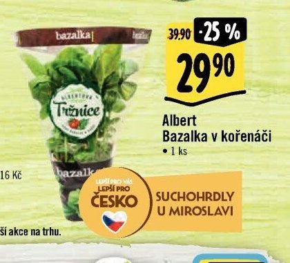 Albert Bazalka v kořenáči