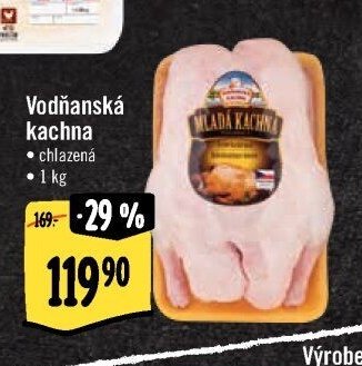 Vodňanská kachna