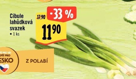 Jarní cibule svazek