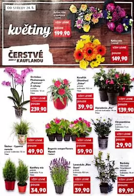 akční leták Kaufland 24.5.2023-30.5.2023