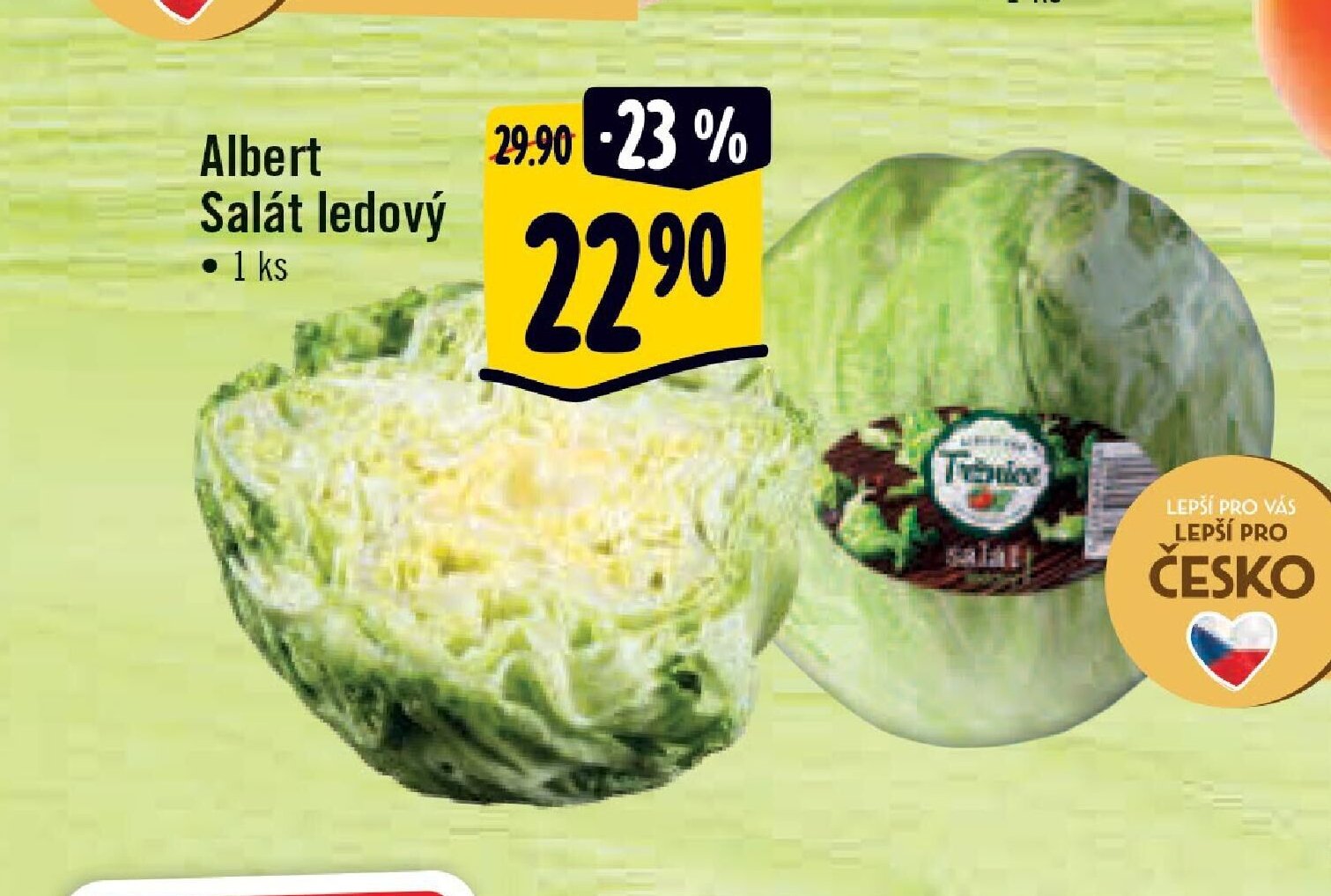 Albert Salát ledový