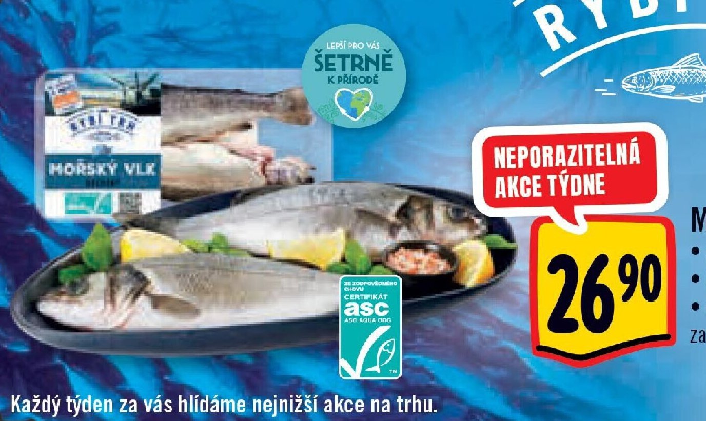 Mořský vlk